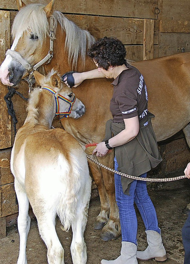 Gut gemacht: Streicheleinheiten gab es fr die tierischen Teilnehmer.  | Foto: Edgar Steinfelder