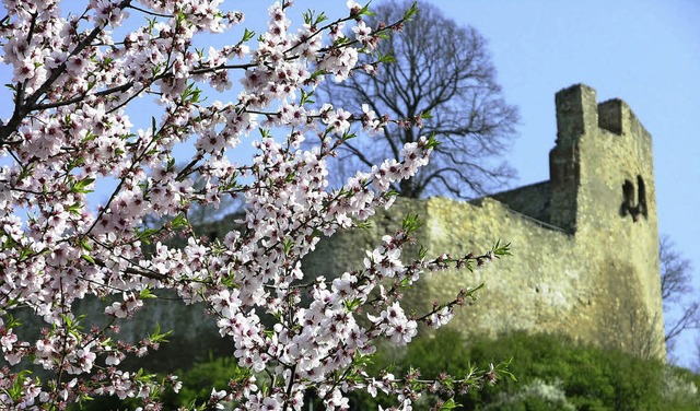 Im Frhling vor 340 Jahren wurde die Burg Lichteneck von Franzosen erobert.  | Foto: Archivfoto: Gnther Zaharanski