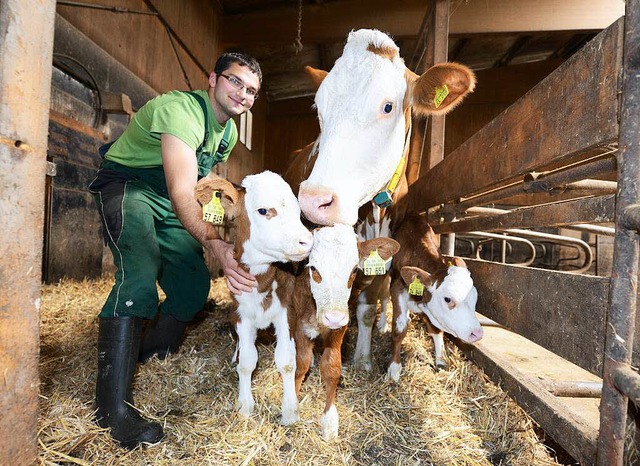 Nelli, Nina und Nero: ein tierisches Trio im Kuhstall  | Foto: dpa