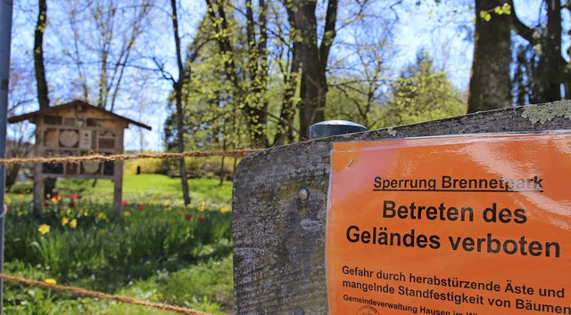 Einige  Bume im Brennet-Park stellen ...ks ist die Brennet/MBB Immobilien AG.   | Foto: Bertsch