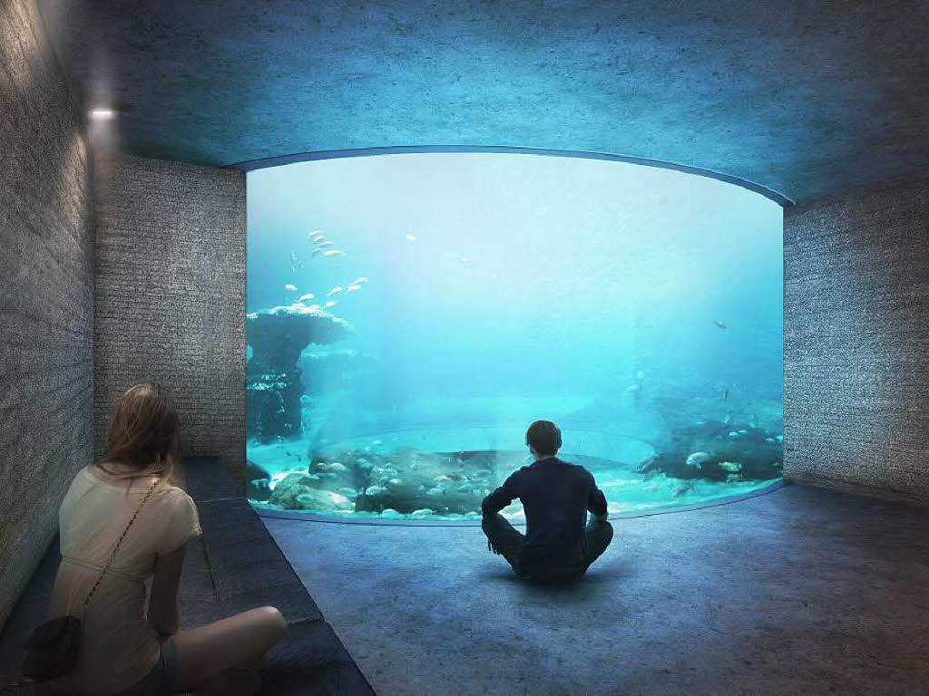 Das Groaquarium in Basel soll den Menschen den verborgenen Lebensraum Ozean nherbringen.