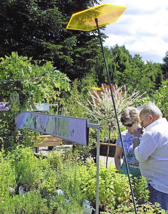 Kreative Ideen Fur Den Garten Kollektive Badische Zeitung