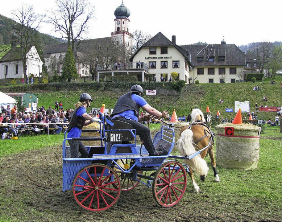 Ein Reiter- und Fahrturnier vor einer ...herrlichen Frhsommersonntag im April.  | Foto: Manfred Lange