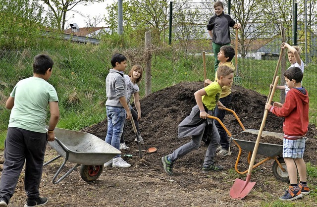 Die Schlerinnen und Schler der Klass...ulgarten  das Gemse dngen zu knnen.  | Foto: Daniel Kulessa