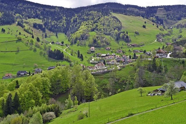 Wieden im europischen Dorf-Vergleich