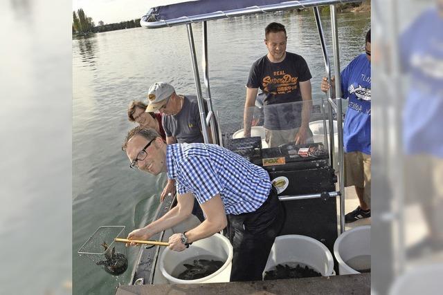 Mehr als 1000 Fische im Rhein ausgesetzt