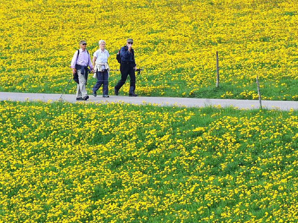 Senioren wandern bei St. Peter im Hochschwarzwald.  | Foto: Rolf Haid