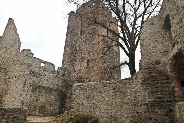 Burg-Touren mit dem Trmer