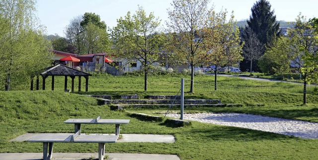 Die Wiese zwischen Spielplatz Krake (v...Wiese ist aber Grn-Ausgleichsflche.   | Foto: Nikolaus Trenz