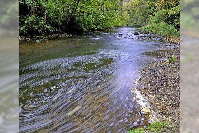 Wanderung durch die Wutachschlucht