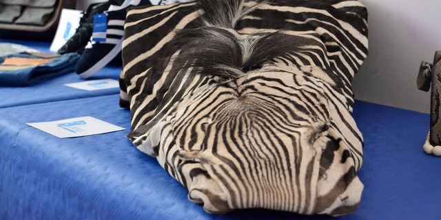 Diese Zebrafell wurde aufgrund des Artenschutzabkommens sichergestellt.   | Foto: Michael Reich