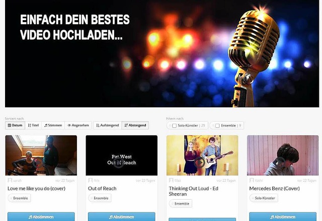 Die Homepage zum Hochladen.  | Foto: Privat