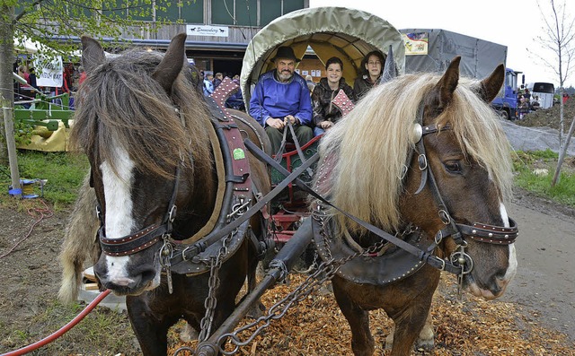 Kutschfahrten sind fester Bestandteil des Pferdemarktes.  | Foto: P. Burger