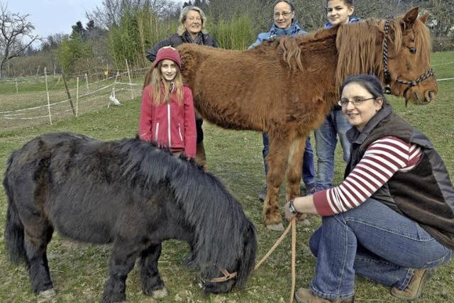 Happy End fr zwei Ponys, die ein schlimmes Schicksal hatten