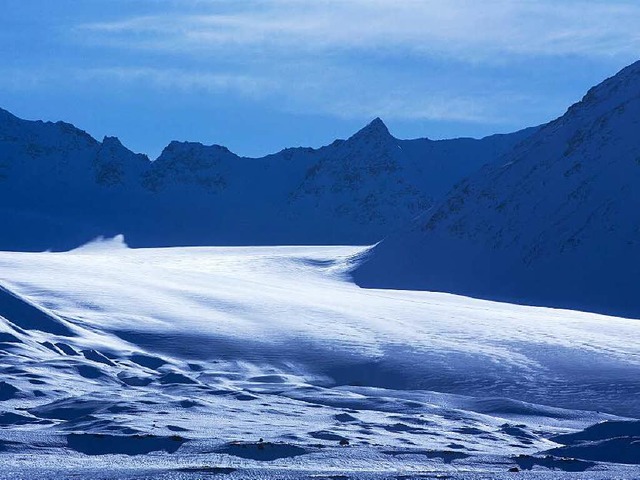 Auch aufgrund der dort vermuteten Bode...sse der Anrainerstaaten an der Arktis.  | Foto: dpa