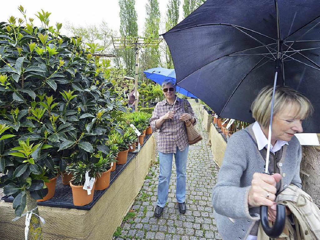 Impressionen vom Frühlingsfest. Impressionen vom Frühlingsfest.