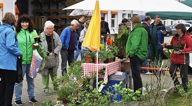 <Text>Die Pflanzenvielfalt stach auch ...nter den Witterungseinflssen. </Text>  | Foto: Werner Schnabl