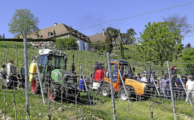 Auf dem Blankenhornsberg veranstaltete...um Pflanzenschutz vorgestellt wurden.   | Foto: Elisabeth Saller