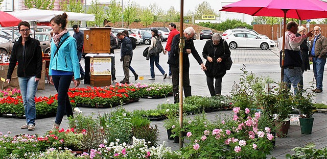 Blhendes und  exotische Kruter gab&#... Stand von Jrgen und Monika Walliser.  | Foto: cremer