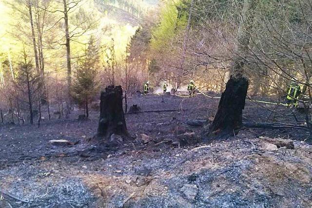 Einsatz unter schwierigen Bedingungen: Groflchiger Waldbrand in Elzach-Yach