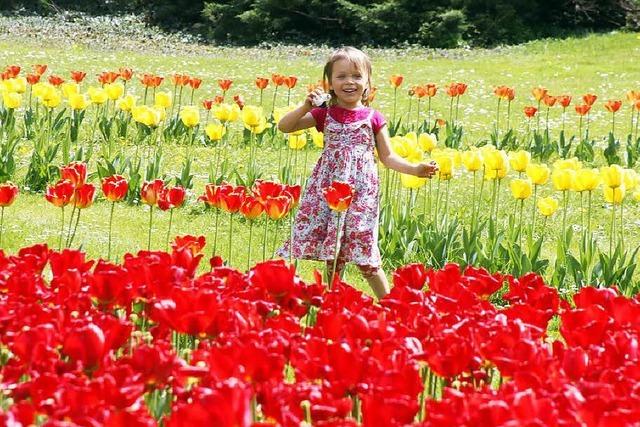 Fotos: Das Tulpenfest in Lahr