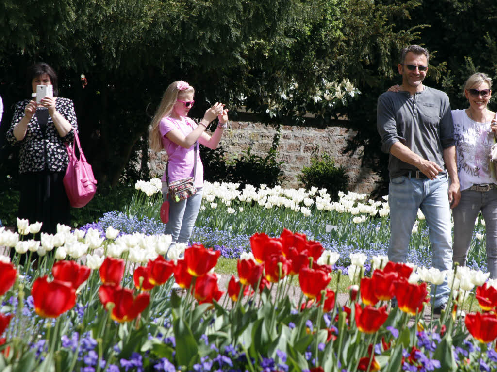 Tulpenfest im Lahrer Stadtpark