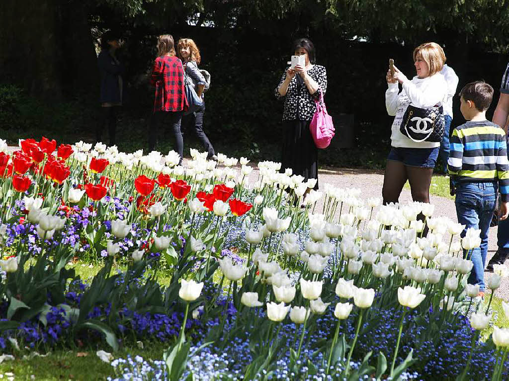 Tulpenfest im Lahrer Stadtpark