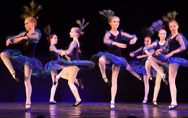 Auch anmutige  Pfauen tanzten in dem orientalischen Mrchen.  | Foto: Barbara Ruda