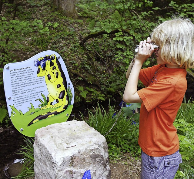 Der Sulzbachpfad soll mit Information ...indern das Thema Wasser nherbringen.   | Foto: Stadt Lahr