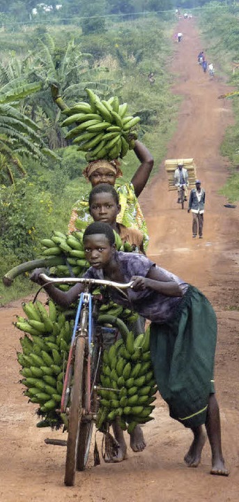 Mit vielen Bananen unterwegs: Kinder in Uganda privat   | Foto: privat