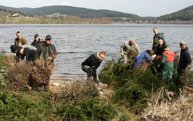 Angler aus der ganzen Region sorgen am Schluchsee fr Laichhilfen.   | Foto: Roswitha Klaiber