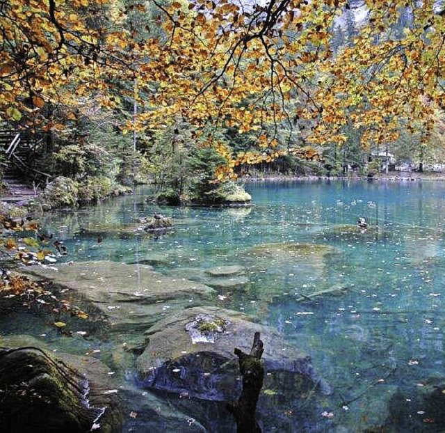 Blausee, Kandersteg, Schweiz  | Foto: Claudia Diemar