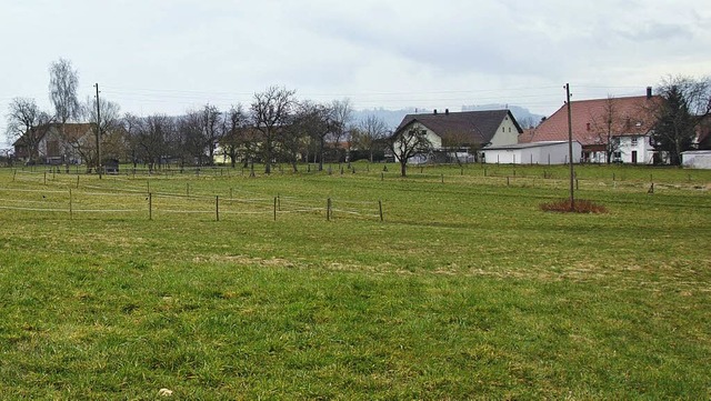 Trgerische Ruhe: der Saffergarten, der als  Baugebiet erschlossen werden soll   | Foto: Archivfoto: Ralph Fautz