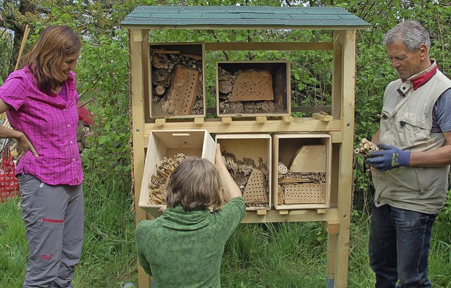 Viele packen beim Bau eines groen Wil...els im Vrstetter Naturgarten mit an.   | Foto: Pia Grttinger