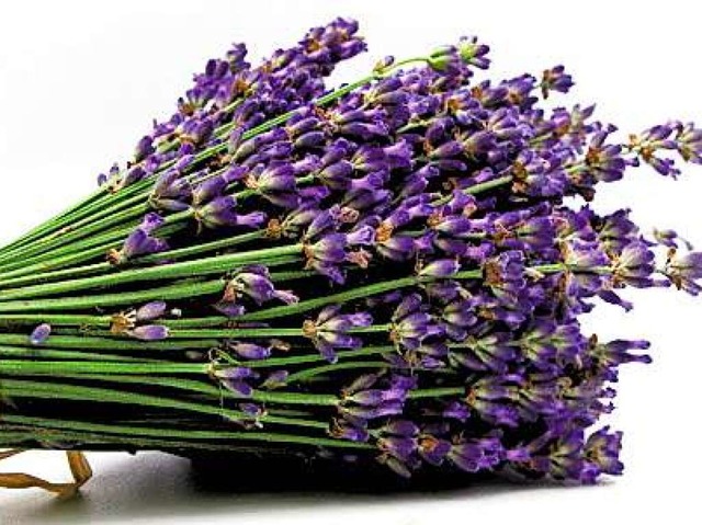 Wohlriechend und heilsam              ...                        : der Lavendel  | Foto: Promo
