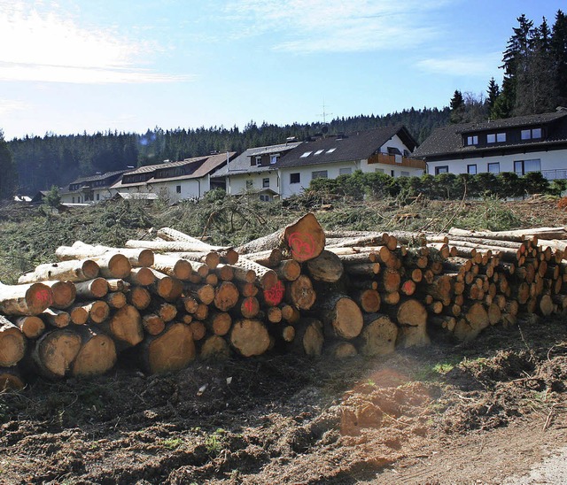 Holz ab im Neubaugebiet Neuwelt in Hinerzarten  | Foto: Dieter Maurer
