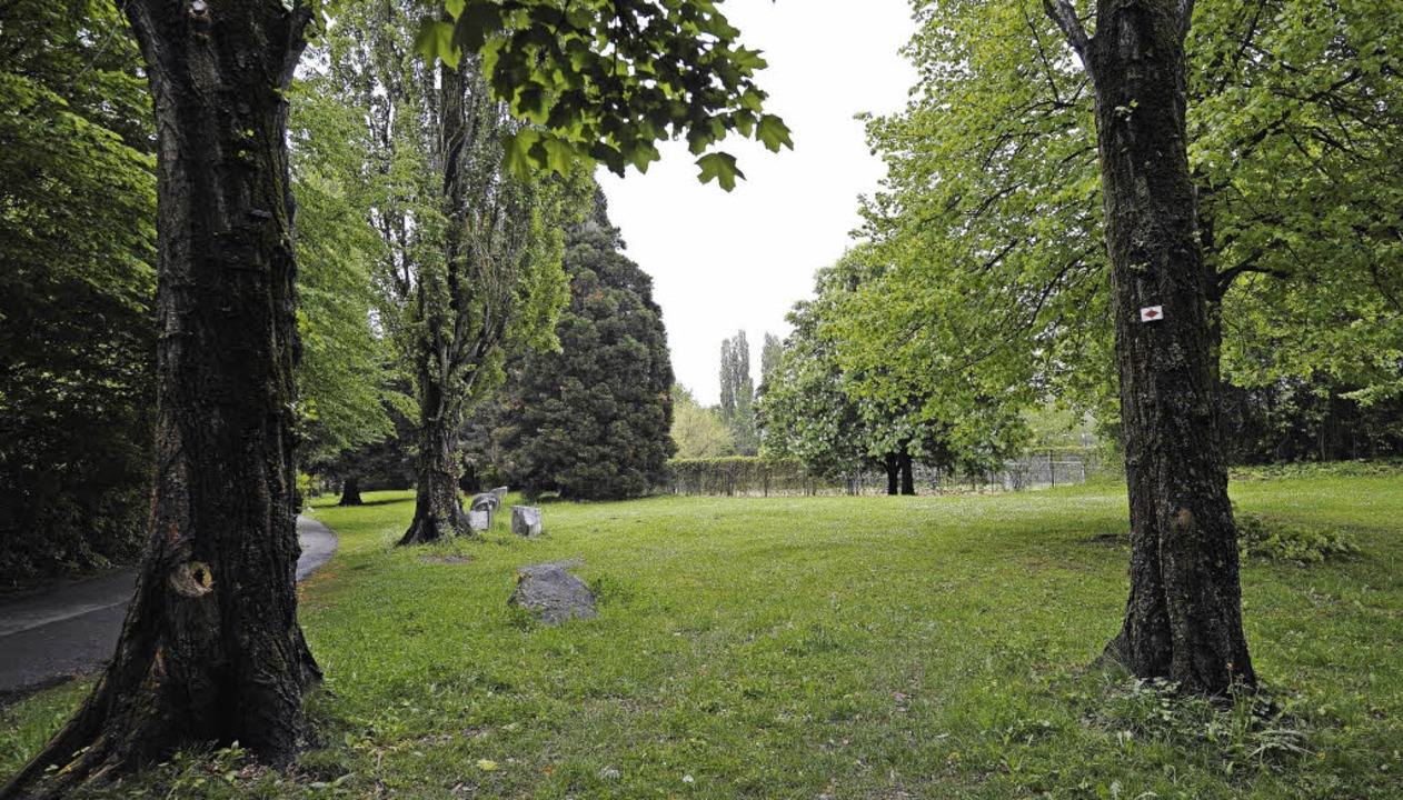 Wer darf welchen Sportplatz nutzen? - Lahr - Badische Zeitung