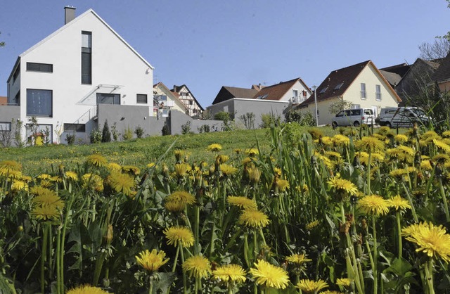 Weil im tlinger Baugebiet Hinter dem ...uen Baugebieten mehr Einfluss nehmen.   | Foto: Lauber