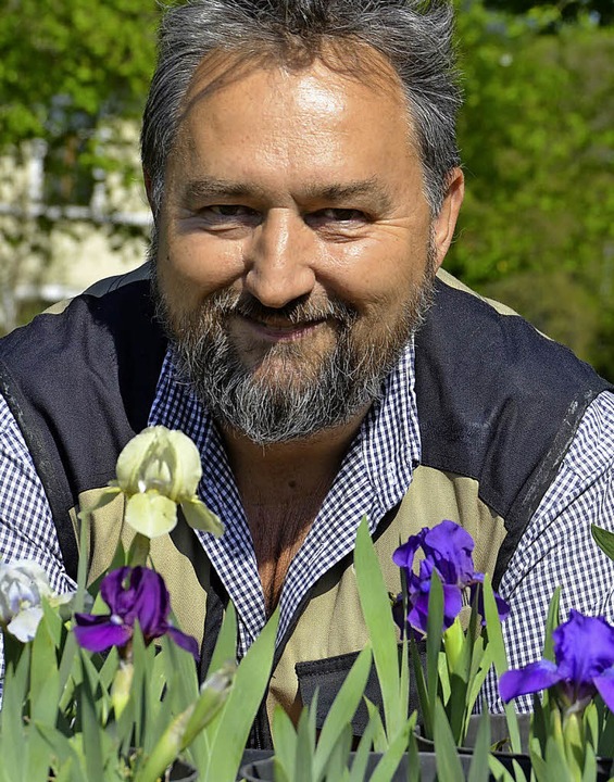 Irisgarten Fritz Lehmann  | Foto: Verena Pichler 