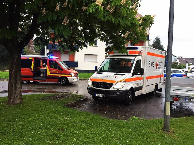 Die Rettungskrfte waren schnell vor Ort.  | Foto: Feuerwehr Heitersheim