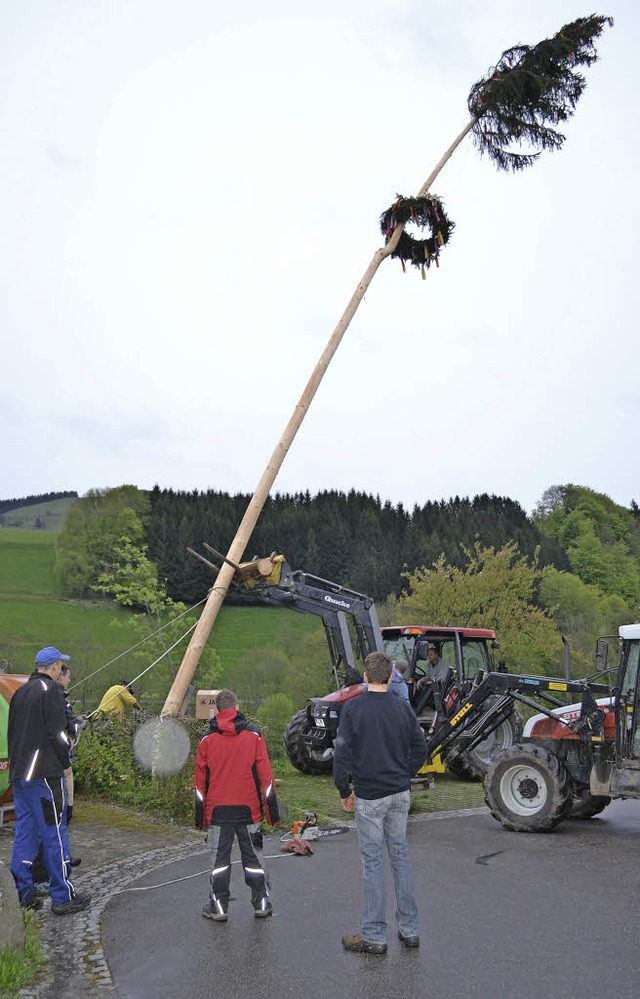 Maibaumfrevlern zum Opfer fielen die F...eich ersetzt wurde, und in Riedichen.   | Foto: P. Berger
