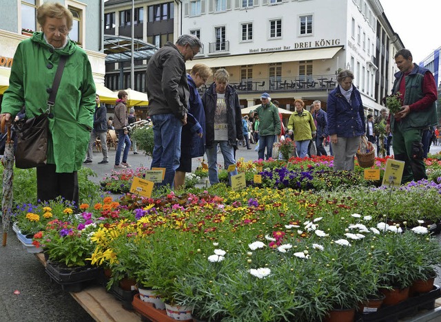 Bunt und vielfltig war das Angebot beim Blumenmarkt fr Balkon und Garten.   | Foto: Barbara Ruda