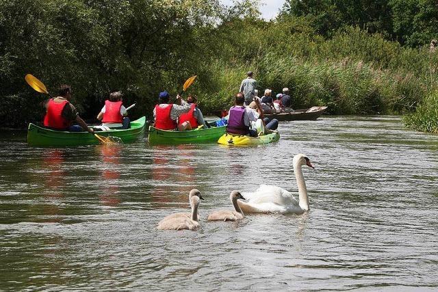 Wie gefhrlich ist das Paddeln im Taubergieen?