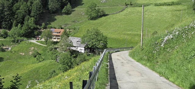 Der  1000 Meter hohe Sittnerbergweg zur Milchmatte ist eng, steil und kurvig.  | Foto: Manfred Lange