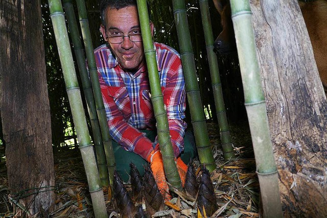 Was im Bambushain von Karl-Martin Scho... gekocht als groe Delikatesse gelten.  | Foto: Christel Hlter-Hassler