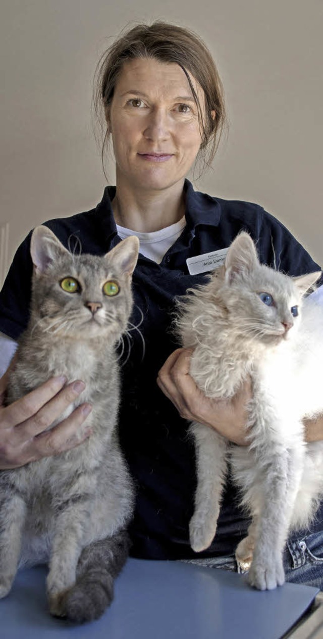 Tierrztin Anja Damm mit zweien ihrer Kunden.   | Foto: Kurz