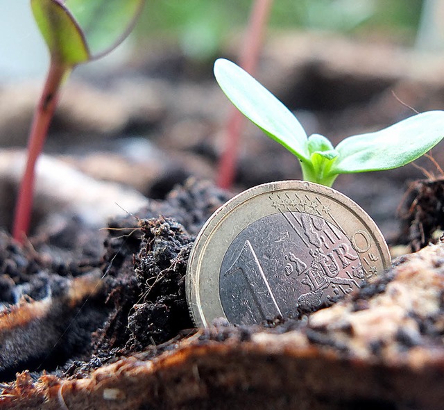 Um nachhaltige Investition ging es im Nellie Nashorn   | Foto: David-Wenk