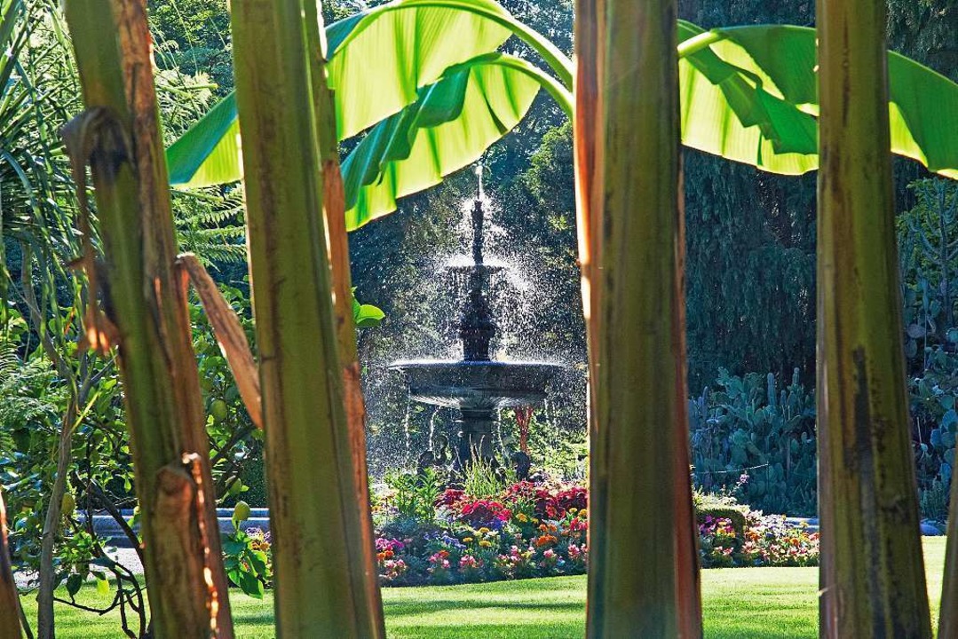 Das sind die schönsten Gärten und Parks am Bodensee Haus & Garten