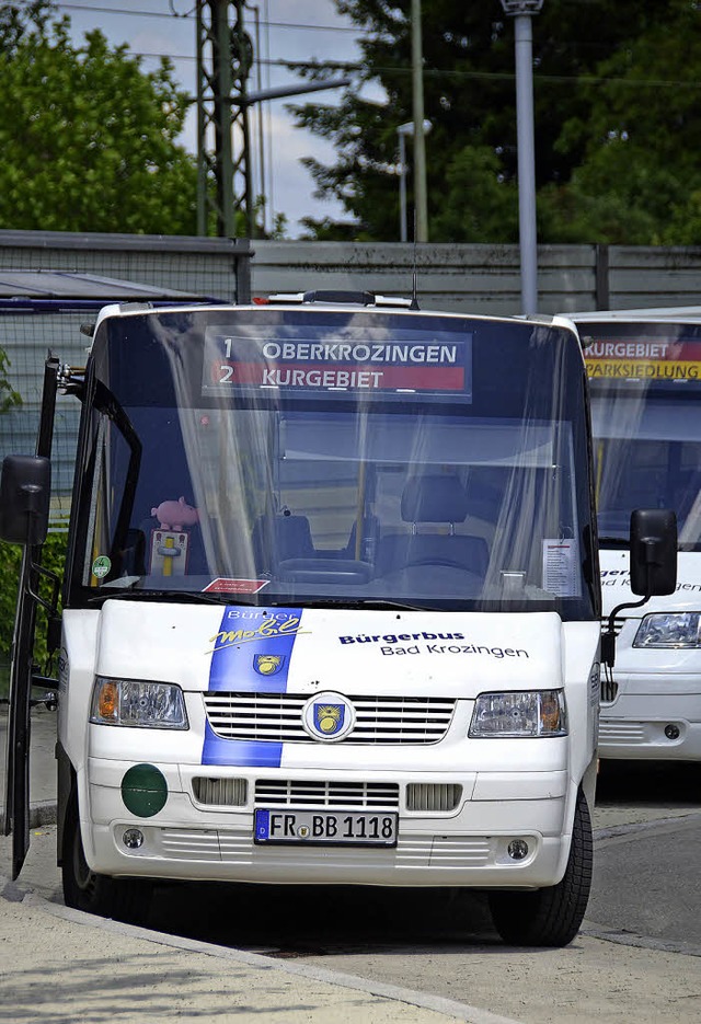 Jhrlich rund 90000 Fahrgste befrdert der Brgerbus.  | Foto: A. Huber