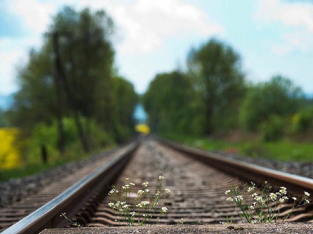Die derzeit leeren Gleise  sind nicht ...der Region gleichermaen ein Problem.   | Foto: dpa